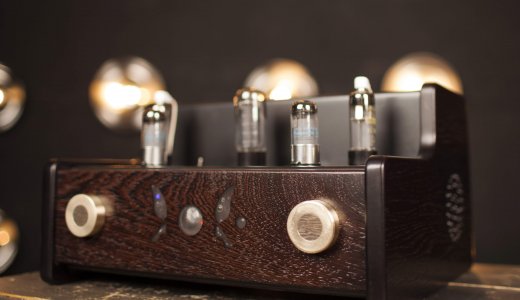 BUTTERFLY integrated amplifier